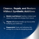 herbal-tea-therapy-lung-renew-mullein-dr-3.jpg