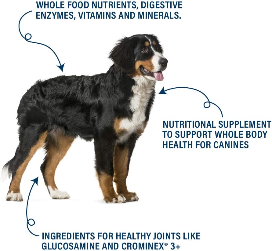 360-pet-nutrition-canine-superfood-boost-5.jpg