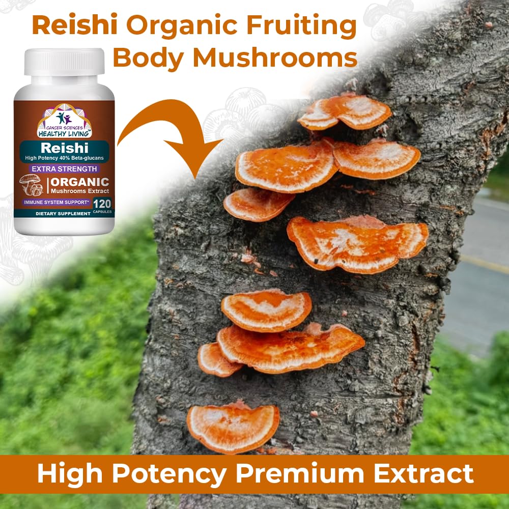 reishi-wellness-mushroom-supplement-caps-5.jpg