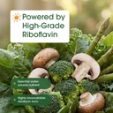 naturebell-vitamin-b2-riboflavin-400mg-2-6.jpg