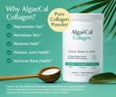 algaecal-bone-builder-collagen-bundle-cl-3.jpg