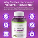 sambucus-elderberry-gummies-with-vitamin-5.jpg