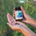 motherlove-more-milk-moringa-135-liquid--5.jpg