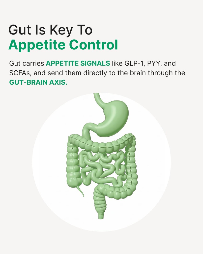 weight-management-probiotics-for-women-a-4.jpg