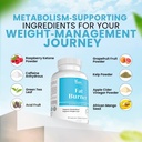 dr-vitamin-solutions-fat-burner-with-glp-5.jpg