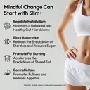 bigvita-slim-glp-1-akk-gut-support-boost-2.jpg