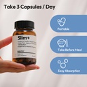 bigvita-slim-glp-1-akk-gut-support-boost-3.jpg