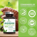mushroom-brain-supplement-10-in-1-blend--4.jpg