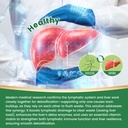 liposomal-lymphatic-drainage-drops-lymph-5.jpg