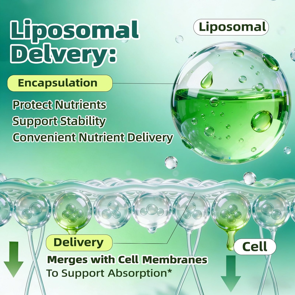 liposomal-lymphatic-drainage-drops-4-fl--4.jpg