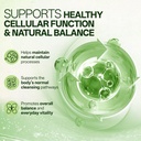 liposomal-sulforaphane-500mg-supplement--5.jpg