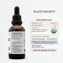 secrets-of-the-tribe-black-walnut-usda-o-4.jpg