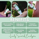 hemp-seed-oil-and-eucalyptus-joint-muscl-5.jpg