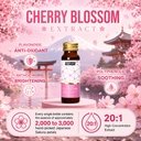 sakura-collagen-drink-gift-for-mother-an-3.jpg