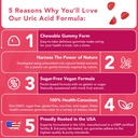 gojoy-naturals-uric-acid-support-formula-2.jpg