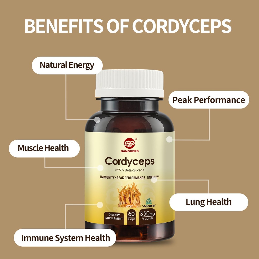 cordyceps-capsules-mushroom-extract-supp-5.jpg