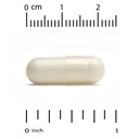 california-gold-nutrition-mastic-gum-500-3.jpg
