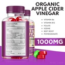 rize-labs-great-results-keto-acv-gummies-5.jpg