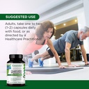 emerald-labs-quercetin-phytosome-quercet-5.jpg