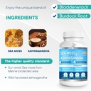 biovitalica-sea-moss-ashwagandha-quercet-4.jpg