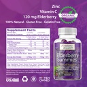 elderberry-queen-organic-elderberry-gumm-3.jpg