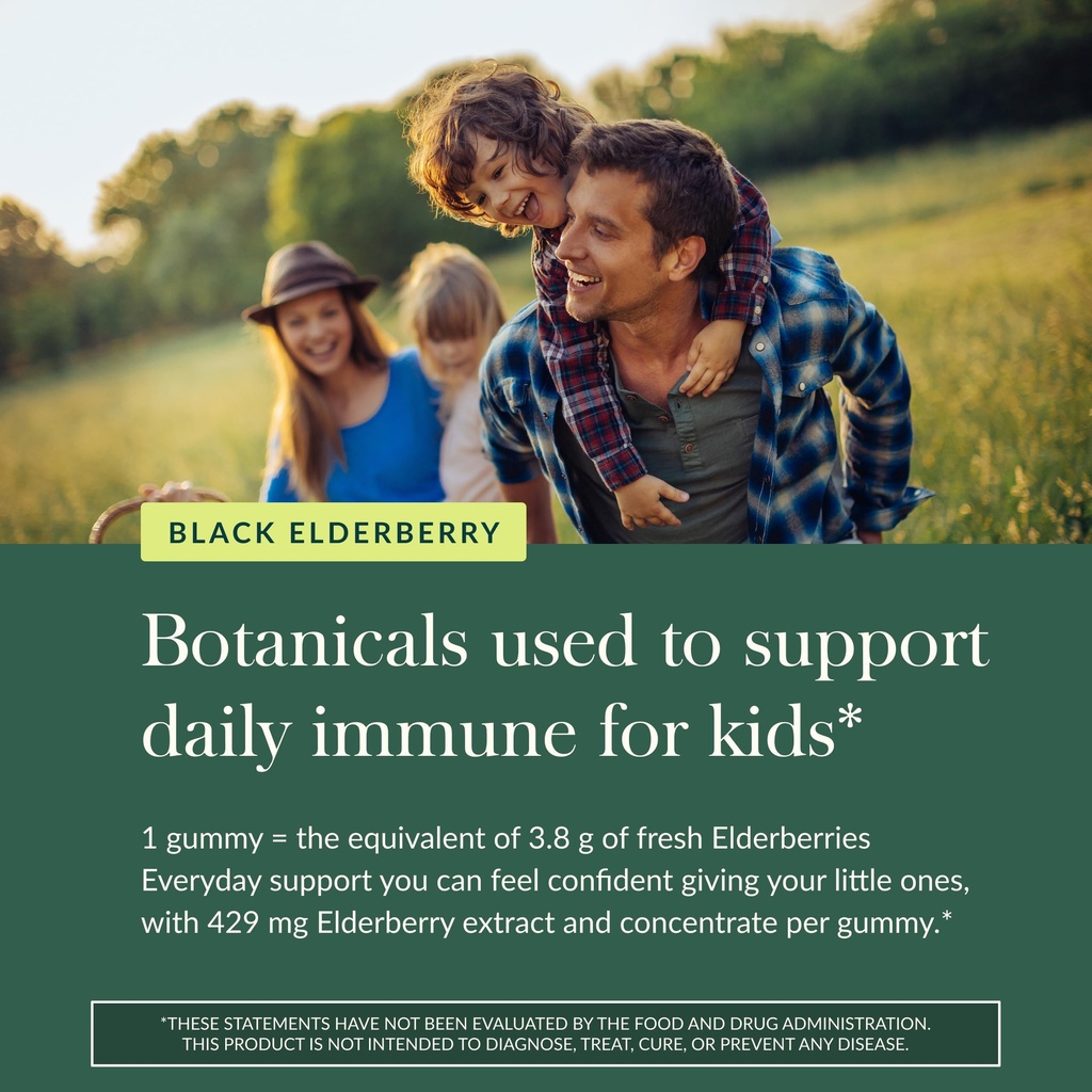 gaia-herbs-black-elderberry-daily-gummie-5.jpg