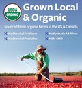 usda-organic-cranberry-concentrate-501-p-6.jpg