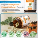 papaya-leaf-extract-500-mg-for-hair-skin-5.jpg