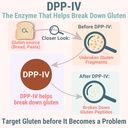 gluten-lactase-digestive-enzyme-gummies--3.jpg