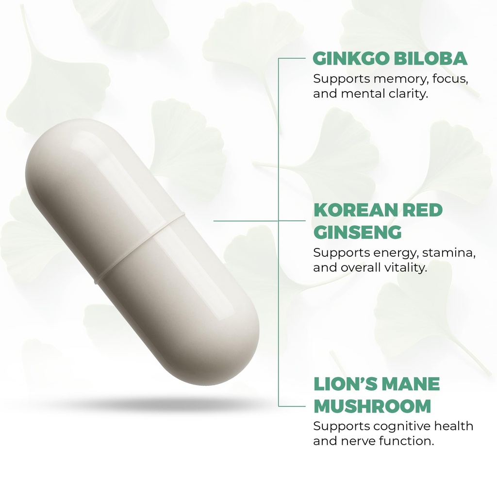 ginkgo-biloba-supplements-120mg-with-kor-3.jpg