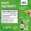 wild-organic-ginkgo-biloba-tincture-brai-3.jpg