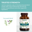 himalaya-focused-mind-supplement-with-as-6.jpg