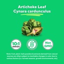 vitapia-organic-artichoke-leaf-extract-f-4.jpg