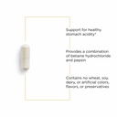 integrative-therapeutics-betaine-hcl-dig-3.jpg