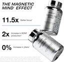 magnetic-mind---premium-cognitive-supple-2.jpg