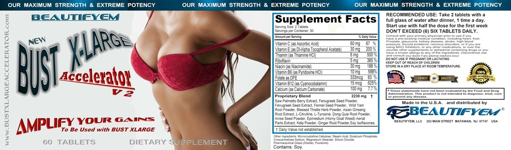 bust-x-large-accelerator-to-be-used-with-4.jpg