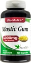 fito-medics-labs---mastic-gum-4000-mg-pe-2.jpg