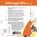 now-foods-ashwagandha-extract-450mg-90-v-3.jpg