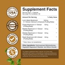 advanced-lion-s-mane-mushroom-supplement-3.jpg