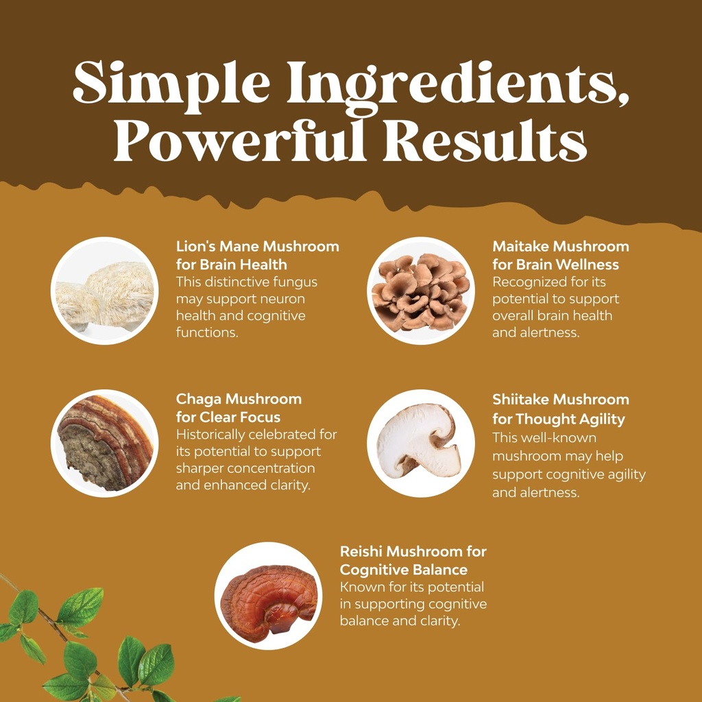 advanced-lion-s-mane-mushroom-supplement-5.jpg