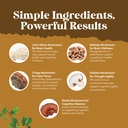 advanced-lion-s-mane-mushroom-supplement-5.jpg