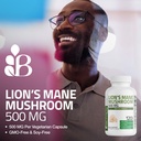 bronson-lion-s-mane-mushroom-500mg-heric-3.jpg