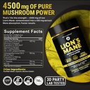 key-elements-organic-lions-mane-suppleme-6.jpg