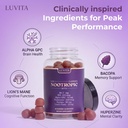 luvita-focus-gummies-brain-supplements-f-4.jpg