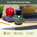 lion-s-mane-mushroom-gummies-10-1-extrac-3.jpg