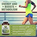 green-tea-extract-98-standardized-with-e-3.jpg