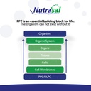 nutrasal-phoschol-600mg-120-gel-capsules-4.jpg