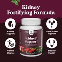 advanced-kidney-support-supplement---kid-3.jpg