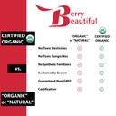 berry-beautiful-organic-meeker-red-raspb-6.jpg