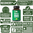peak-performance-advanced-hmb-supplement-3.jpg